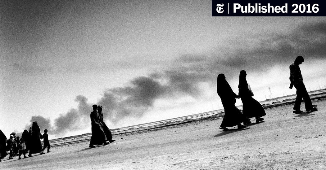 Dreams About Flying in a Plane As a Passenger