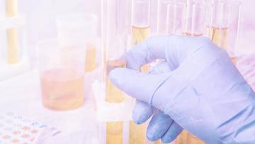 Dream About Pee on the Floor